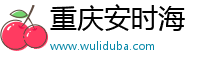 重庆安时海
